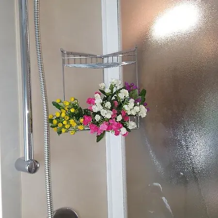 Apartament Fabbricotti *